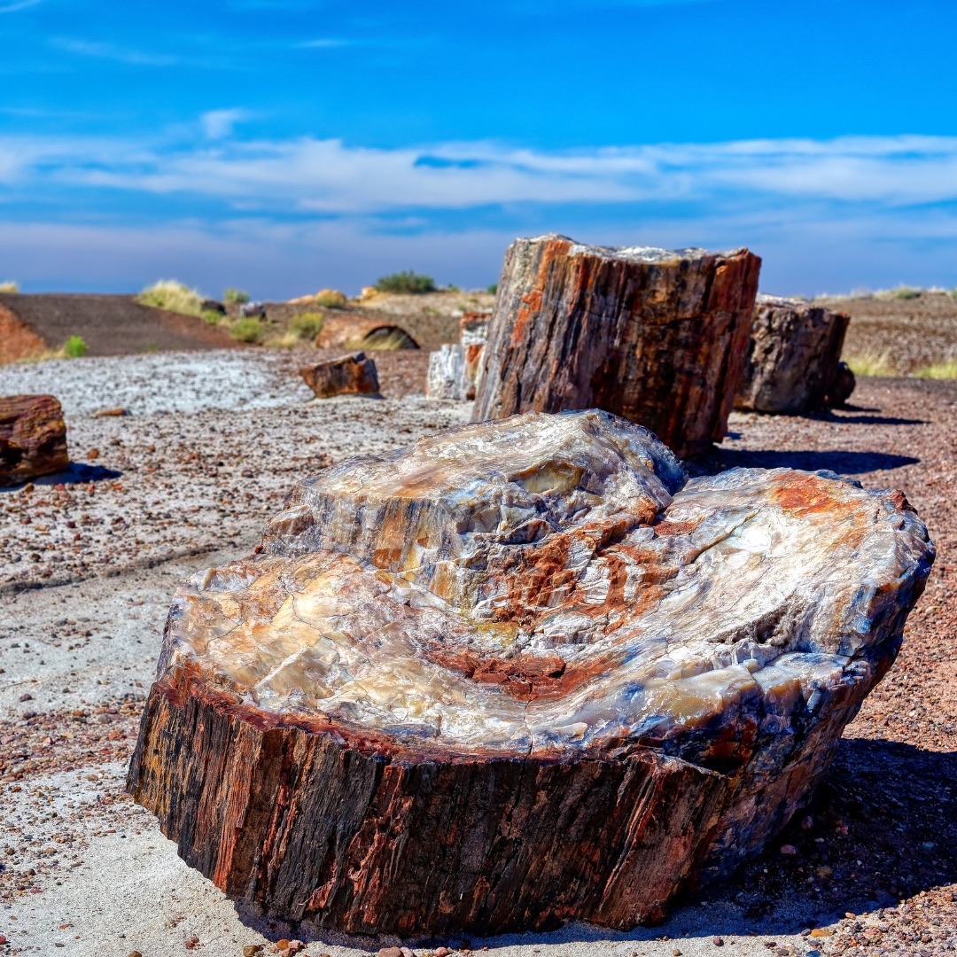 Route 66 - The Great Outdoors