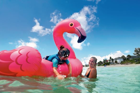 Discover Family Fun in the Sun in St. Pete-Clearwater