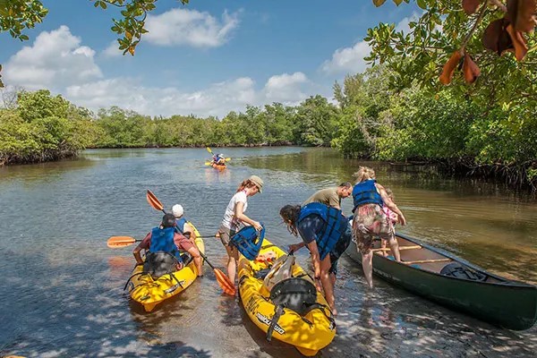 Go Green on Your Miami Getaway