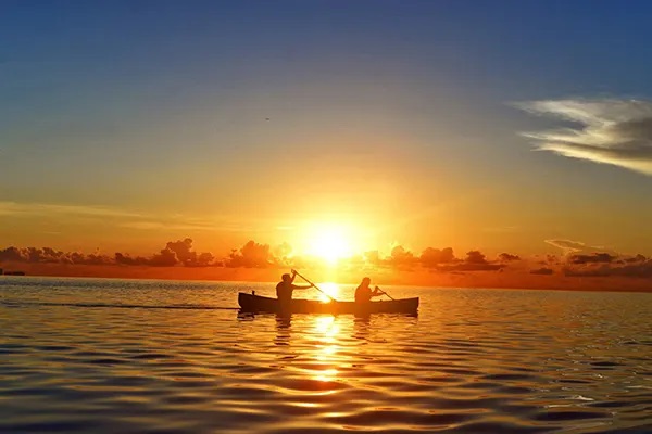 Discover MIami's Ultimate Eco-Itinerary