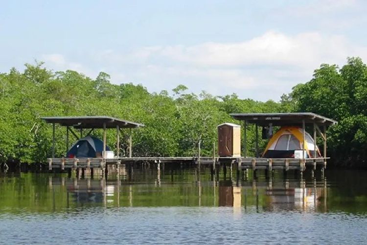 Immerse in Nature at Outdoor Stays