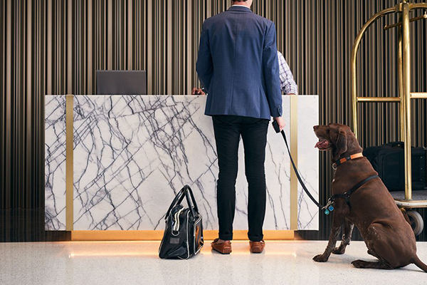 Pet Approved Holiday Vibes