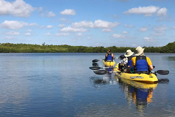 Paddle Local: Top Kayak Spots in Miami