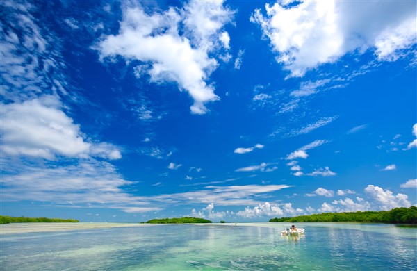 New additions to the digital pass that helps travellers preserve the Florida Keys  - by Florida Keys & Key West