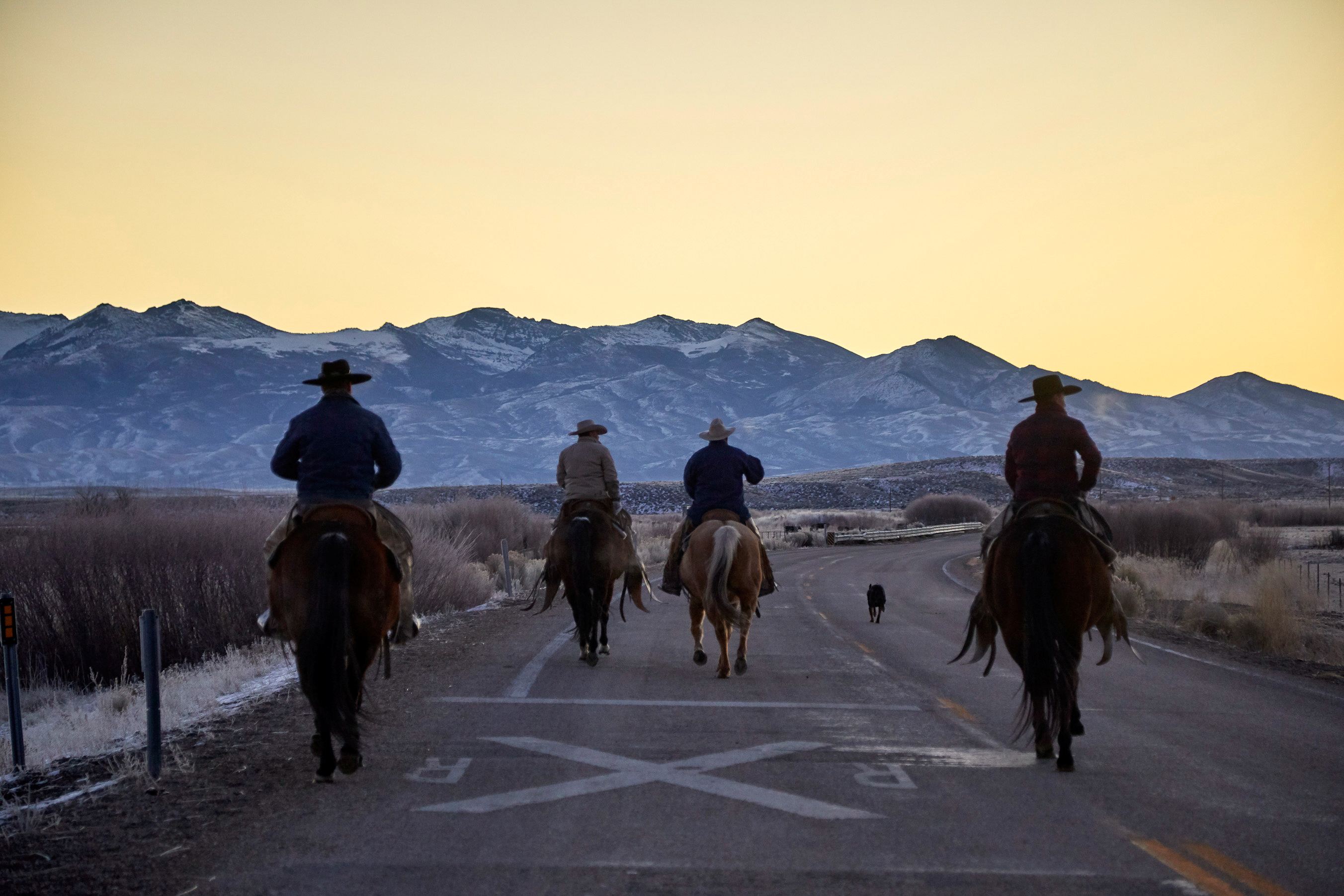 Travel Nevada