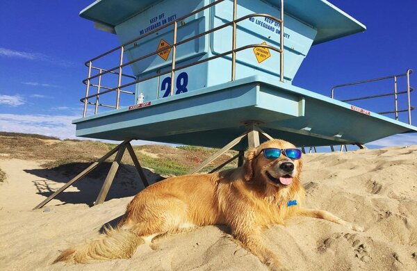 Five Beaches, One Iconic Coastline: Discover the best beaches in Surf City USA® - by Visit Huntington Beach