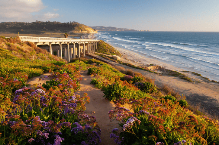 California Dreaming
