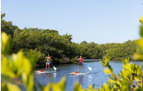 Florida: Punta Gorda/Englewood Beach - Time for an adventure!