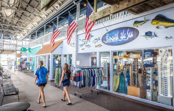 Punta Gorda/Englewood Beach: Make the Most of August