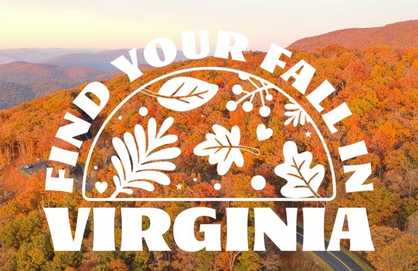Virginia’s new fall foliage microsite helps travellers plan autumn getaways - by Virginia Tourism Corporation 